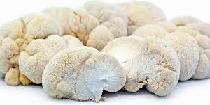 lions mane mushroom for sale