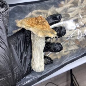 import placeholder for 2854