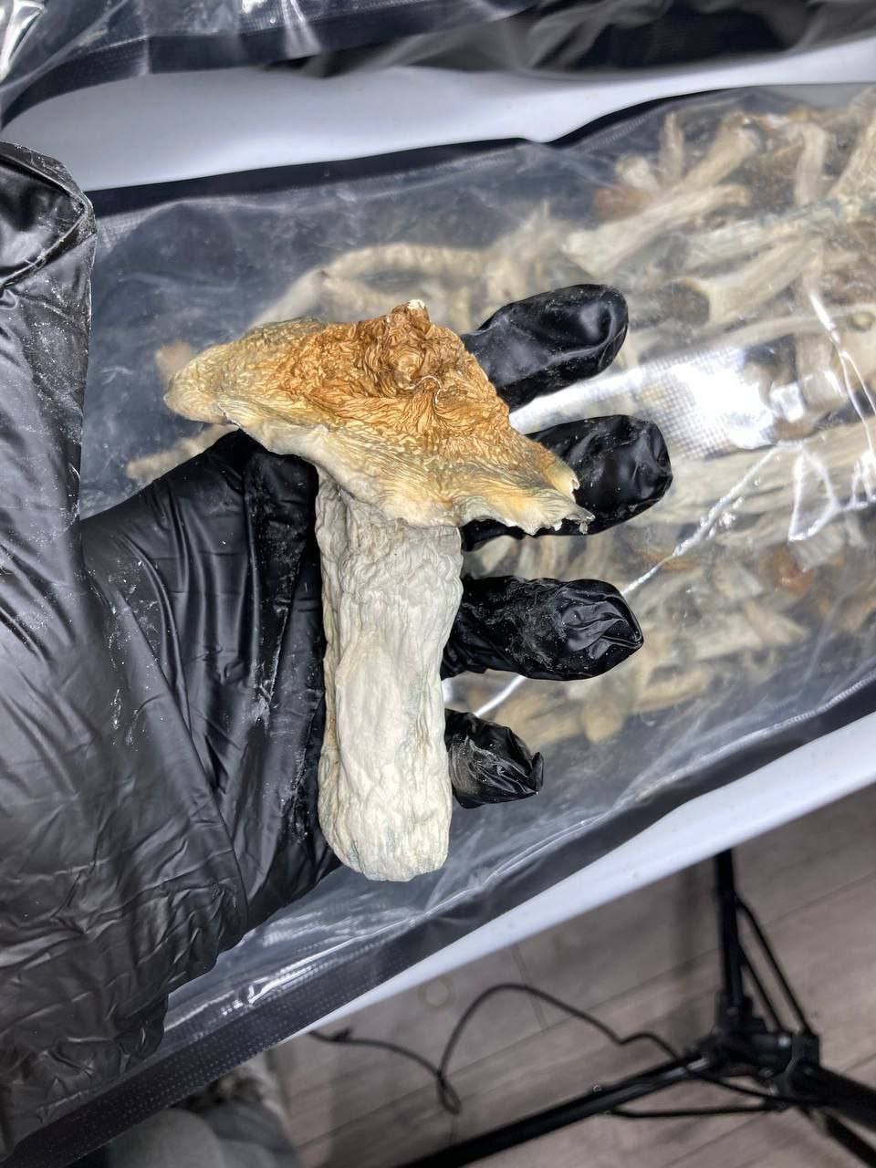 import placeholder for 2854 import placeholder for 2854