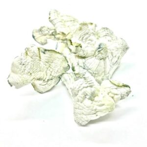 import placeholder for 2860