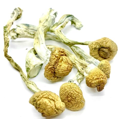 import placeholder for 2845 import placeholder for 2845