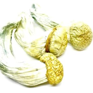 import placeholder for 2843