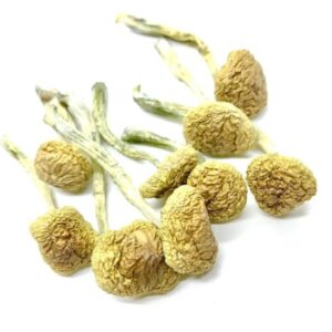 import placeholder for 2862