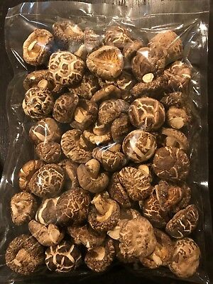 dried shiitake mushrooms dried shiitake mushrooms