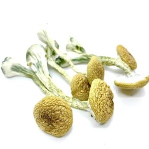 import placeholder for 2851